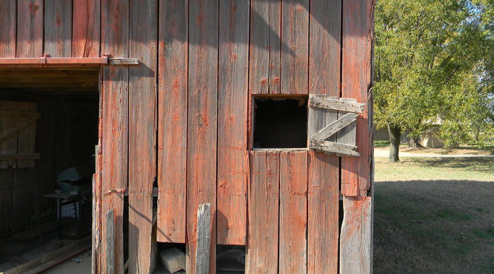 CWAC 2013 Donation Guitar